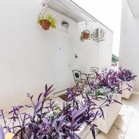 House Niko T With 6 Apartments Split Exterior photo